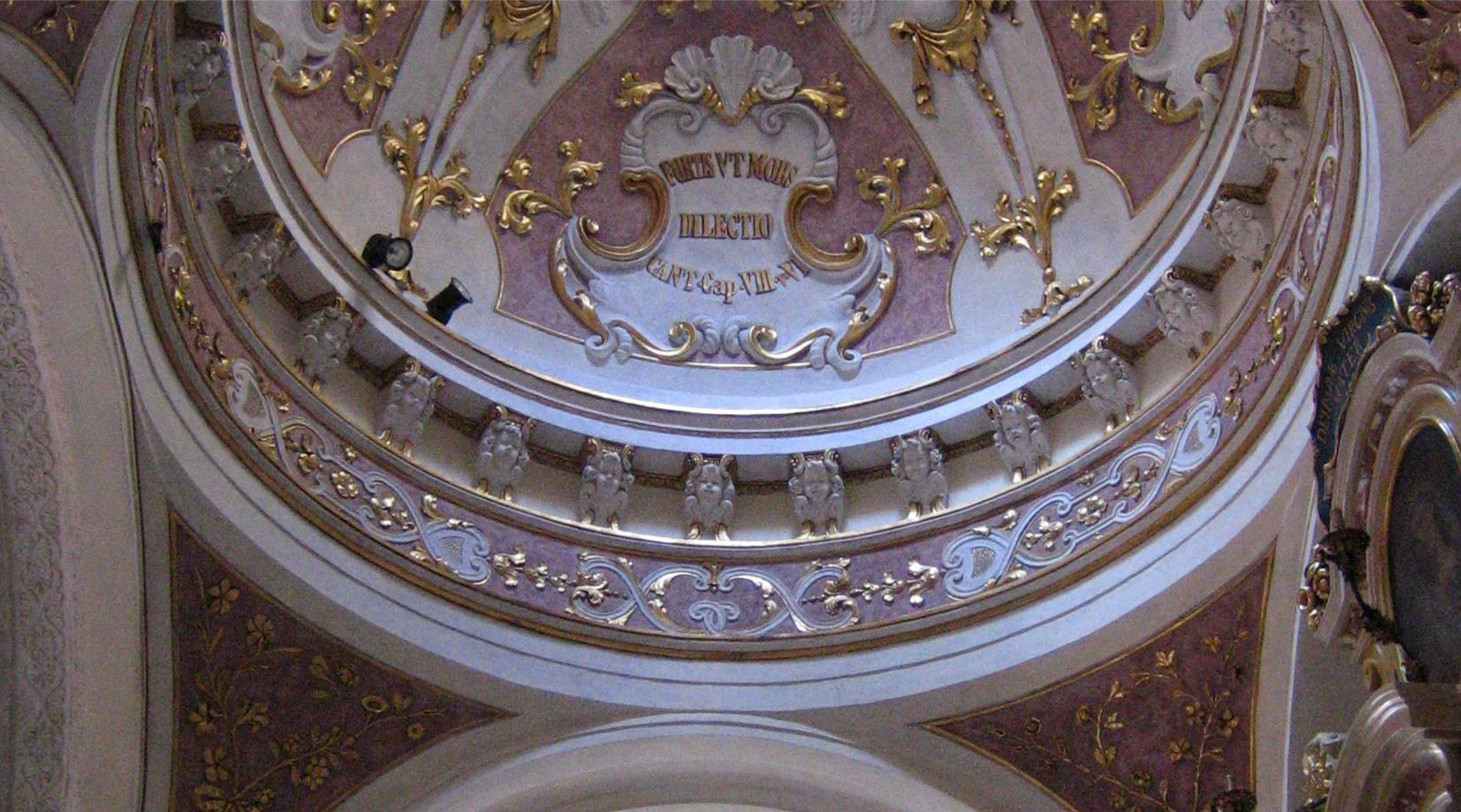 Cattedrale di San Pietro Mantova (3)