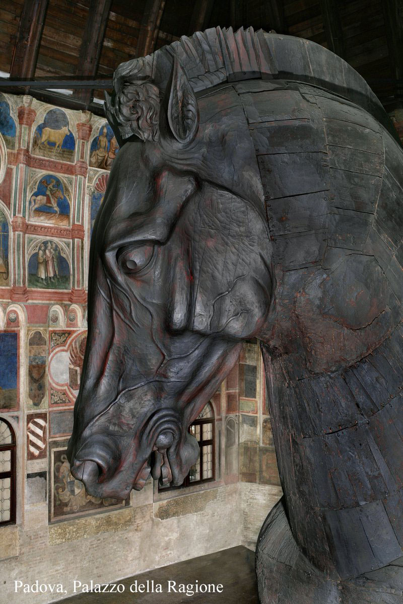 Cavallo Ligneo Palazzo della Ragione Padova
