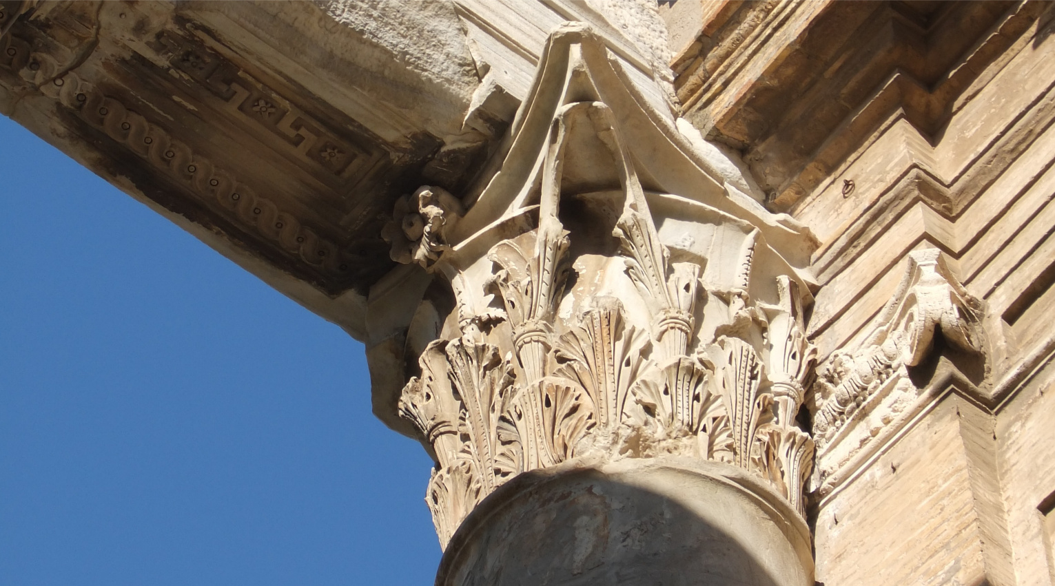 Tempio di Antonino e Faustina Fori di Roma (1)